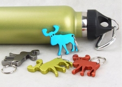 Skateboard Aluminum Bottle Opener with Key Chain