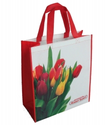 RPET Shopping Bag