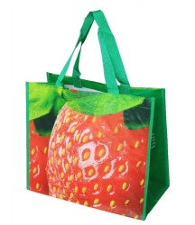 Recycled Shopping Bag