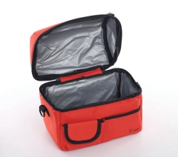 Promotional Disposable Cooler bag